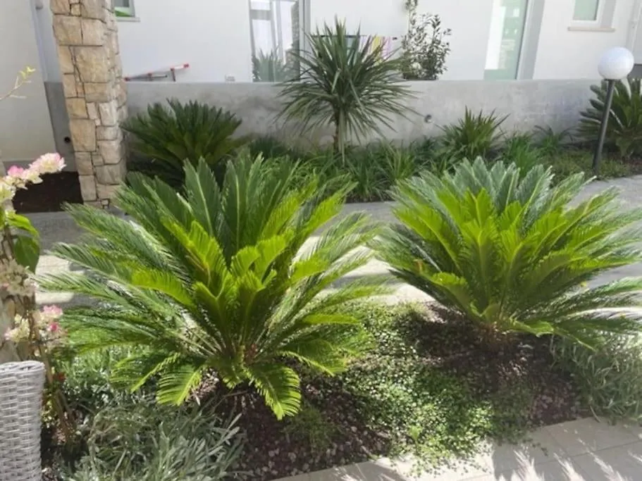 Casa Gardalido Mit Garten Und Pool Padenghe sul Garda Lägenhet
